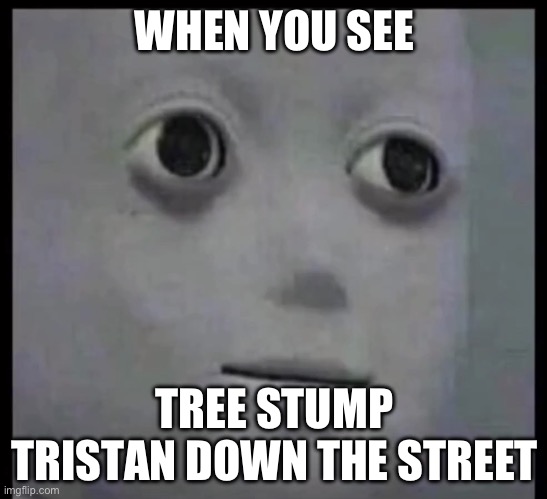 Caca pooopooo | WHEN YOU SEE; TREE STUMP TRISTAN DOWN THE STREET | image tagged in tristan,oojjj,2209,tree stump,ohio | made w/ Imgflip meme maker