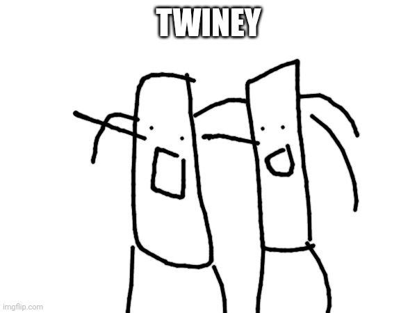 TWINEY | made w/ Imgflip meme maker