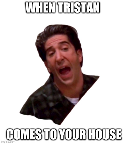 Ross Geller Yelling | WHEN TRISTAN; COMES TO YOUR HOUSE | image tagged in ross geller yelling | made w/ Imgflip meme maker