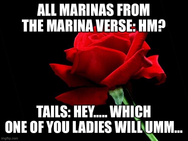 Into the Marina verse | ALL MARINAS FROM THE MARINA VERSE: HM? TAILS: HEY….. WHICH ONE OF YOU LADIES WILL UMM… | image tagged in rose | made w/ Imgflip meme maker