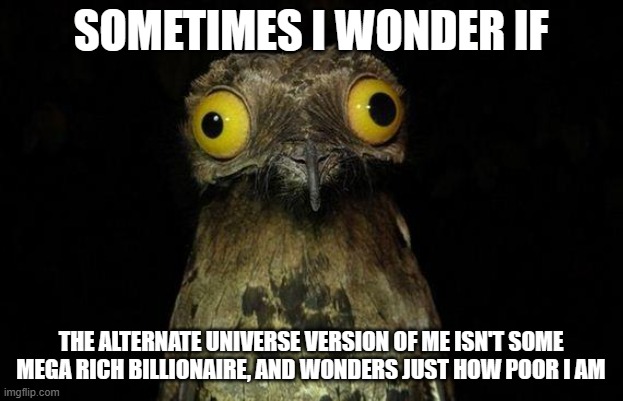 Weird Stuff I Do Potoo | SOMETIMES I WONDER IF; THE ALTERNATE UNIVERSE VERSION OF ME ISN'T SOME MEGA RICH BILLIONAIRE, AND WONDERS JUST HOW POOR I AM | image tagged in memes,weird stuff i do potoo | made w/ Imgflip meme maker