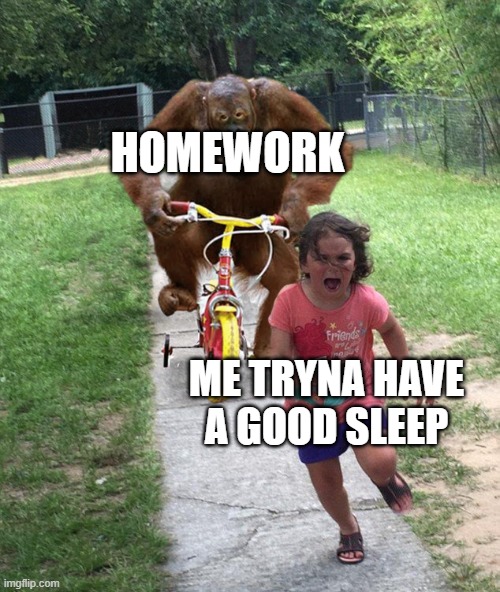 Orangutan chasing girl on a tricycle | HOMEWORK; ME TRYNA HAVE A GOOD SLEEP | image tagged in orangutan chasing girl on a tricycle | made w/ Imgflip meme maker