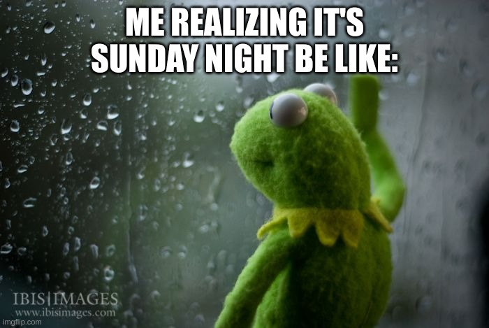 kermit window | ME REALIZING IT'S SUNDAY NIGHT BE LIKE: | image tagged in kermit window | made w/ Imgflip meme maker