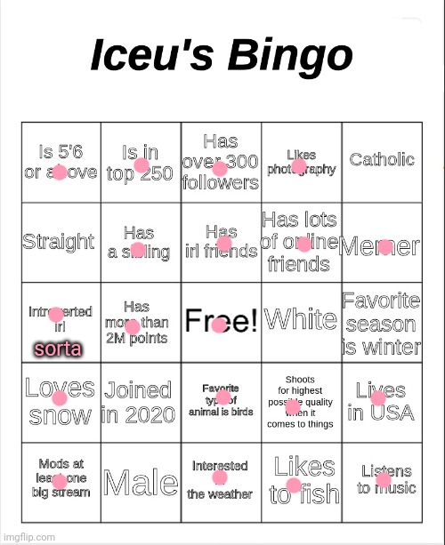 Iceu bingo | sorta | image tagged in iceu's bingo,iceu,bingo,bingos | made w/ Imgflip meme maker