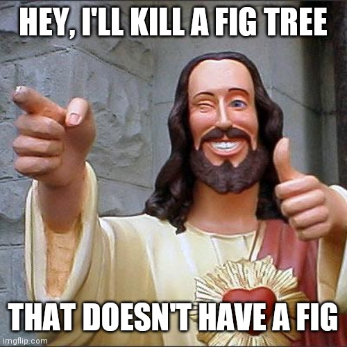 Buddy Christ Meme | HEY, I'LL KILL A FIG TREE THAT DOESN'T HAVE A FIG | image tagged in memes,buddy christ | made w/ Imgflip meme maker
