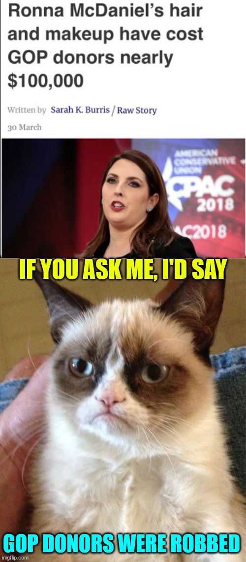 GOP donors were robbed | IF YOU ASK ME, I'D SAY; GOP DONORS WERE ROBBED | image tagged in memes,grumpy cat,gop,robbed | made w/ Imgflip meme maker
