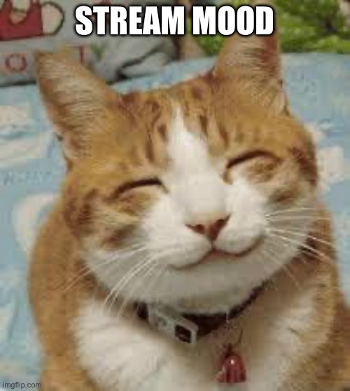 It just got real happy in here and idk what just happened but it sure was an 180 | STREAM MOOD | image tagged in happy cat | made w/ Imgflip meme maker