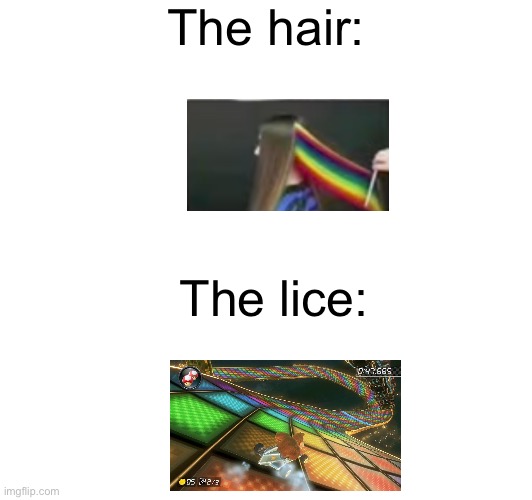 The hair:; The lice: | image tagged in mario kart 8,lice,hair | made w/ Imgflip meme maker
