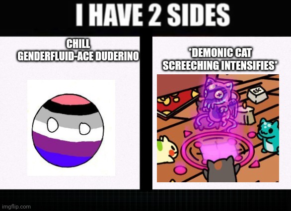 I have two sides | CHILL GENDERFLUID-ACE DUDERINO; *DEMONIC CAT SCREECHING INTENSIFIES* | image tagged in i have two sides | made w/ Imgflip meme maker
