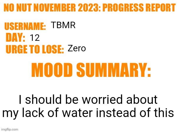 No Nut November 2023 Progress Report | TBMR; 12; Zero; I should be worried about my lack of water instead of this | image tagged in no nut november 2023 progress report | made w/ Imgflip meme maker