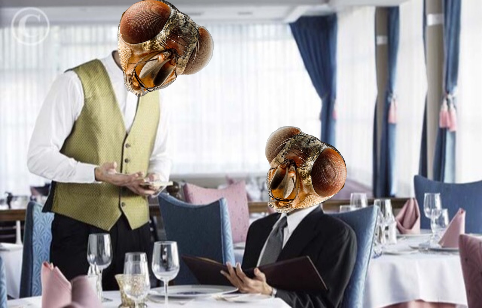 Fly waiter human in my soup Blank Meme Template