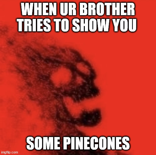 Dusted | WHEN UR BROTHER TRIES TO SHOW YOU; SOME PINECONES | image tagged in dusted | made w/ Imgflip meme maker