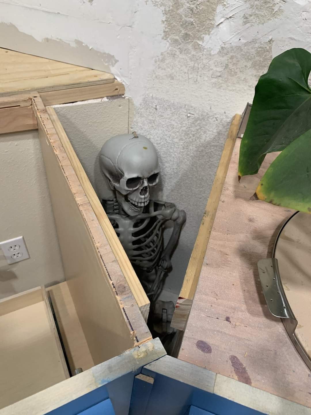 Renovation Skeleton Surprise Blank Meme Template