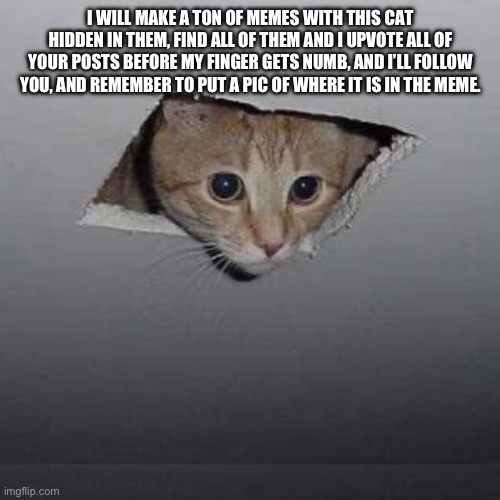 Announcement | I WILL MAKE A TON OF MEMES WITH THIS CAT HIDDEN IN THEM, FIND ALL OF THEM AND I UPVOTE ALL OF YOUR POSTS BEFORE MY FINGER GETS NUMB, AND I’LL FOLLOW YOU, AND REMEMBER TO PUT A PIC OF WHERE IT IS IN THE MEME. | image tagged in memes,ceiling cat | made w/ Imgflip meme maker