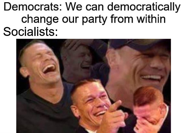 Socialists: | image tagged in democrats,socialists,dnc fraud case | made w/ Imgflip meme maker