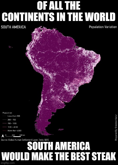 OF ALL THE CONTINENTS IN THE WORLD; SOUTH AMERICA WOULD MAKE THE BEST STEAK | image tagged in geography | made w/ Imgflip meme maker