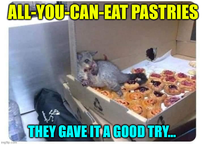 Looks like the critter hit the jackpot | ALL-YOU-CAN-EAT PASTRIES; THEY GAVE IT A GOOD TRY... | image tagged in eye roll,yummy,bakery | made w/ Imgflip meme maker