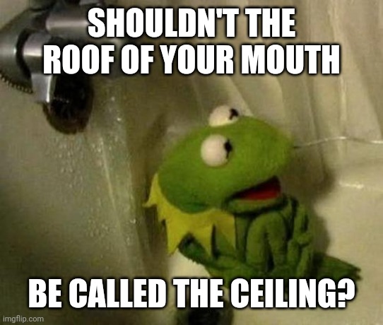 Kermit on Shower | SHOULDN'T THE ROOF OF YOUR MOUTH; BE CALLED THE CEILING? | image tagged in kermit on shower | made w/ Imgflip meme maker