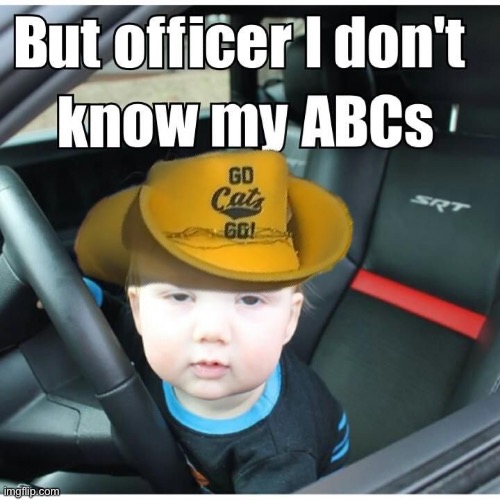 85tqqs.jpg