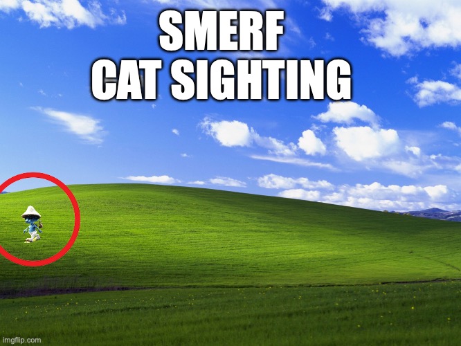 Smurf cat sighting real!!!!1!! | SMERF CAT SIGHTING | image tagged in convinent windows backround,blue smurf cat,we live we love we lie,real | made w/ Imgflip meme maker