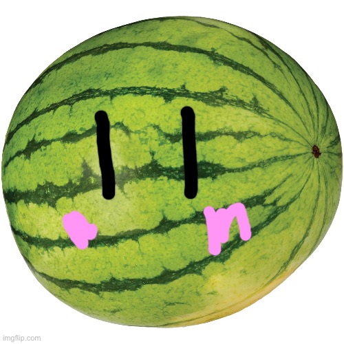 watermelon | image tagged in watermelon | made w/ Imgflip meme maker
