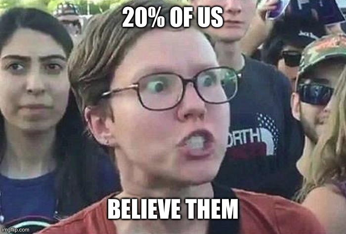 Triggered Liberal | 20% OF US BELIEVE THEM | image tagged in triggered liberal | made w/ Imgflip meme maker
