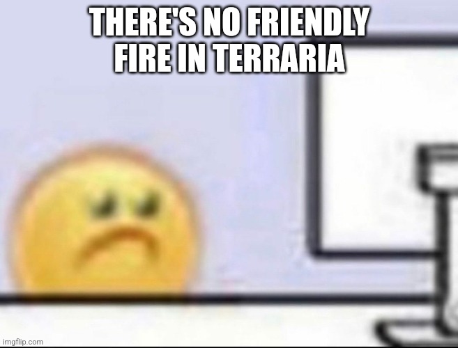 Zad | THERE'S NO FRIENDLY FIRE IN TERRARIA | image tagged in zad | made w/ Imgflip meme maker