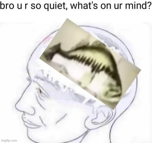 fibsc | image tagged in bro you're so quiet | made w/ Imgflip meme maker
