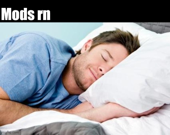 Either sleeping or getting raided by the fbi | Mods rn | image tagged in sleeping | made w/ Imgflip meme maker