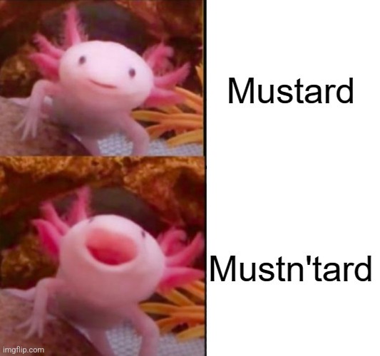 Mustn'tard | image tagged in axolotl drake | made w/ Imgflip meme maker