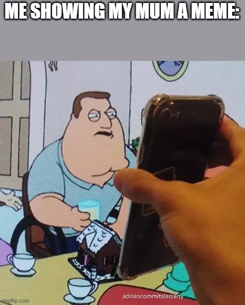 Joe swanson looking at phone | ME SHOWING MY MUM A MEME: | image tagged in joe swanson looking at phone | made w/ Imgflip meme maker