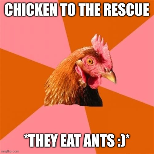 Anti Joke Chicken Meme | CHICKEN TO THE RESCUE *THEY EAT ANTS :)* | image tagged in memes,anti joke chicken | made w/ Imgflip meme maker