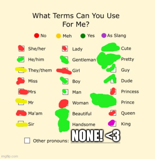 Pronouns Sheet | NONE! <3 | image tagged in pronouns sheet | made w/ Imgflip meme maker