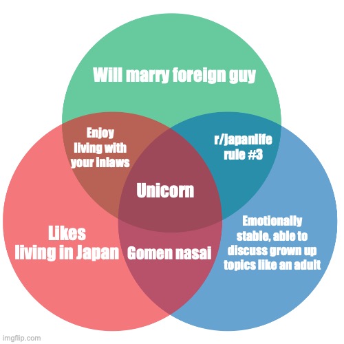 Colored 3-circle venn diagram | Will marry foreign guy; r/japanlife rule #3; Enjoy living with your inlaws; Unicorn; Likes living in Japan; Emotionally stable, able to discuss grown up topics like an adult; Gomen nasai | image tagged in colored 3-circle venn diagram | made w/ Imgflip meme maker