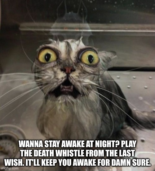 I cant sleep ever since I did that 2 HOURS AGO from when I ussally decide to sleep. | WANNA STAY AWAKE AT NIGHT? PLAY THE DEATH WHISTLE FROM THE LAST WISH. IT'LL KEEP YOU AWAKE FOR DAMN SURE. | image tagged in movie,cartoon,ptsd,oh no,horror,funny | made w/ Imgflip meme maker