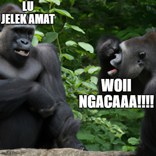 hhh | LU JELEK AMAT; WOII NGACAAA!!!! | image tagged in a gorrila and a human is mocking each other | made w/ Imgflip meme maker
