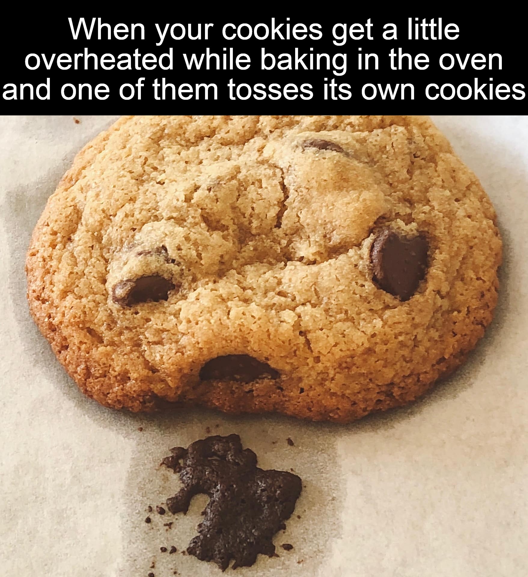 When your cookies get a little overheated while baking in the oven and one of them tosses its own cookies | image tagged in meme,memes,funny | made w/ Imgflip meme maker
