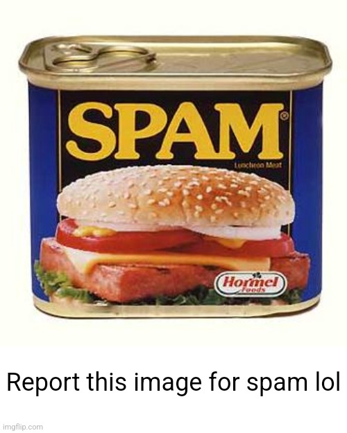 spam | Report this image for spam lol | image tagged in spam | made w/ Imgflip meme maker