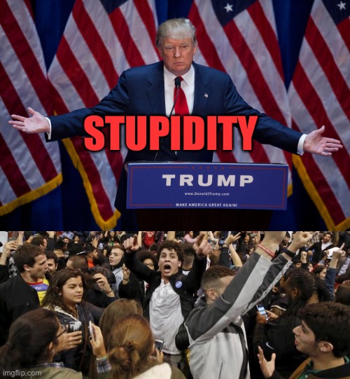 STUPIDITY | image tagged in donald trump,trump rally riot | made w/ Imgflip meme maker