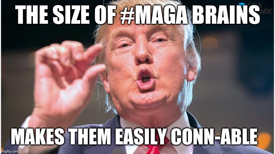 MAGA Brains | THE SIZE OF #MAGA BRAINS; MAKES THEM EASILY CONN-ABLE | image tagged in donald trump small brain | made w/ Imgflip meme maker