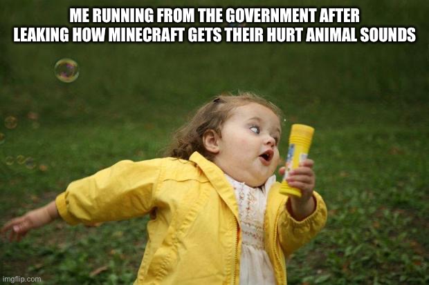 Me running from the government because of minecraft | ME RUNNING FROM THE GOVERNMENT AFTER LEAKING HOW MINECRAFT GETS THEIR HURT ANIMAL SOUNDS | image tagged in girl running | made w/ Imgflip meme maker
