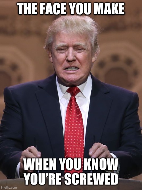Donnie screwed | THE FACE YOU MAKE; WHEN YOU KNOW YOU’RE SCREWED | image tagged in donald trump | made w/ Imgflip meme maker