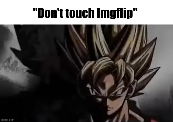 Goku Staring | "Don't touch Imgflip" | image tagged in goku staring | made w/ Imgflip meme maker