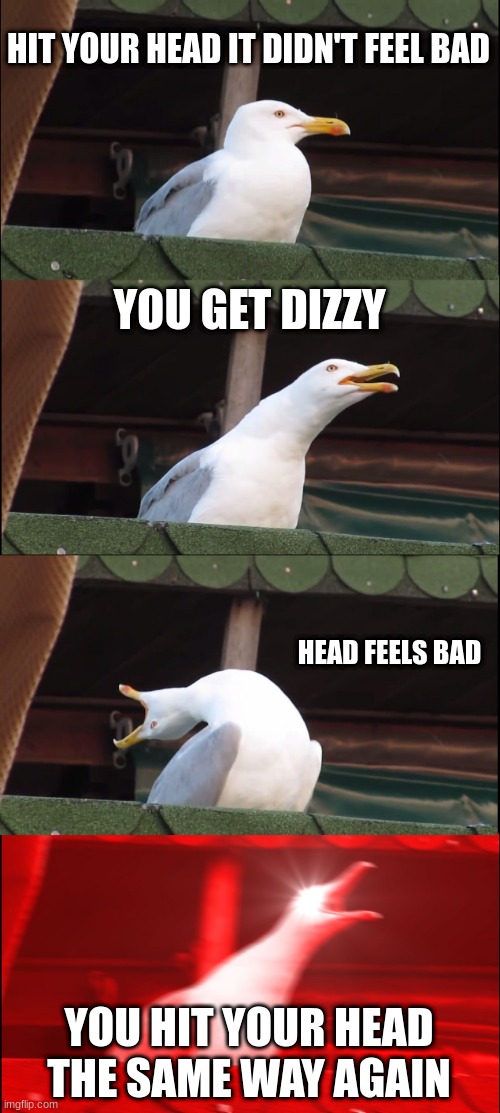 Inhaling Seagull | HIT YOUR HEAD IT DIDN'T FEEL BAD; YOU GET DIZZY; HEAD FEELS BAD; YOU HIT YOUR HEAD THE SAME WAY AGAIN | image tagged in memes,inhaling seagull | made w/ Imgflip meme maker