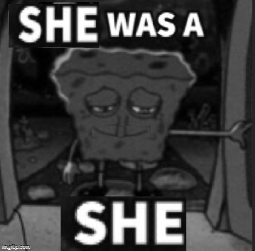 made w/ Imgflip meme maker