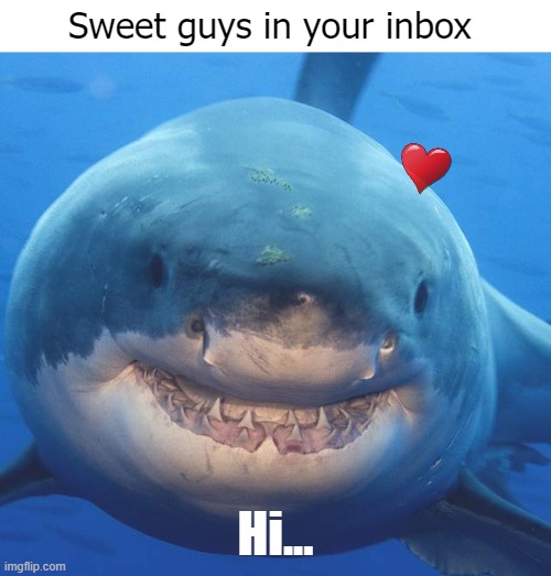 Sweet guys in your inbox; Hi... | image tagged in shark,funny | made w/ Imgflip meme maker