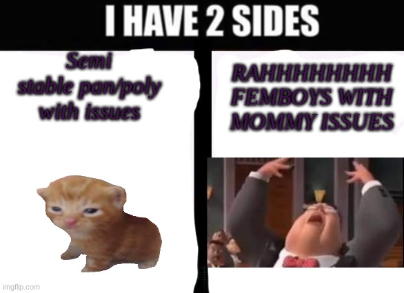I CANT BE THE ONLY ONE WHO JUST RAHHHHHHHHHHHHHH | RAHHHHHHHH FEMBOYS WITH MOMMY ISSUES; Semi stable pan/poly with issues | image tagged in i have 2 sides | made w/ Imgflip meme maker