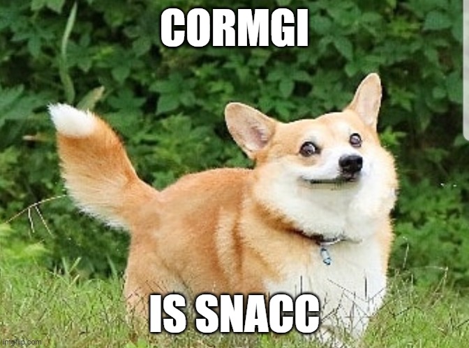 OK Boomer Corgi | CORMGI; IS SNACC | image tagged in ok boomer corgi | made w/ Imgflip meme maker