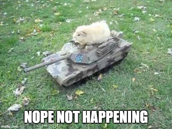 Guinea pig tank | NOPE NOT HAPPENING | image tagged in guinea pig tank | made w/ Imgflip meme maker