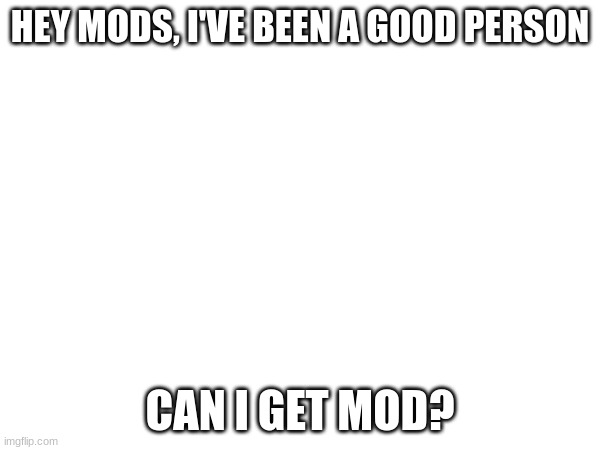 pls? | HEY MODS, I'VE BEEN A GOOD PERSON; CAN I GET MOD? | image tagged in mod request | made w/ Imgflip meme maker